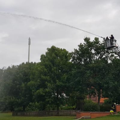 Photo 2019 08 17 16 32 06 1