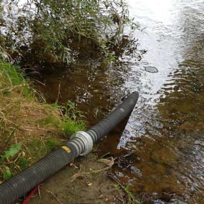 Photo 2019 08 17 16 32 08