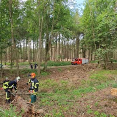 Photo 2019 08 17 17 14 56