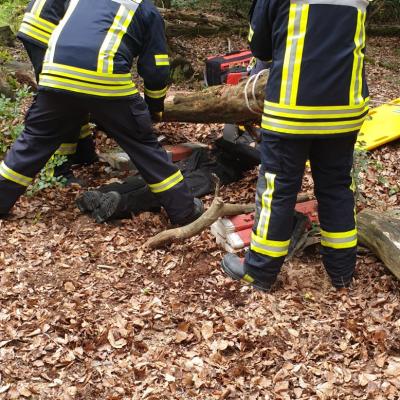 Photo 2019 08 17 18 47 58 1