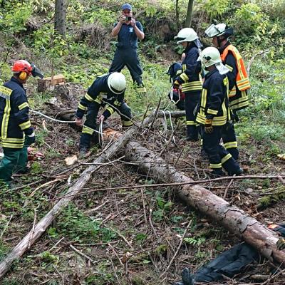 Photo 2019 08 18 14 26 36 1