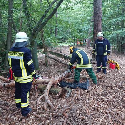 Photo 2019 08 18 14 26 37