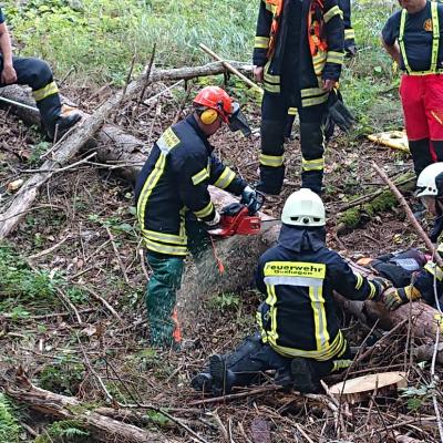 Photo 2019 08 18 14 26 39