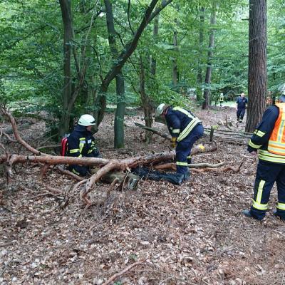 Photo 2019 08 18 14 26 47