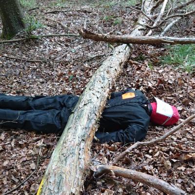 Photo 2019 08 18 14 26 48