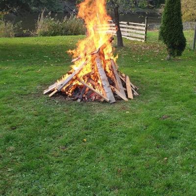 Photo 2019 10 28 07 54 02 1