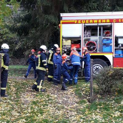 Photo 2019 10 28 07 54 04 1