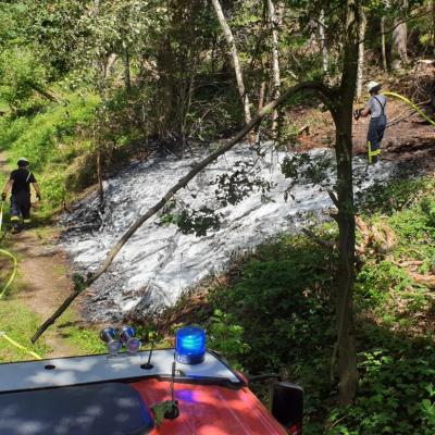 104e4920 901d 45fd 8258 F326a09fab6d