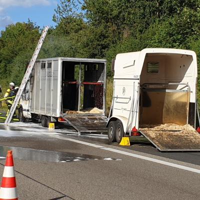 4147583e 9132 42fb Adcd 5a4bb04a96ec