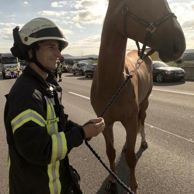 51119086 10a3 4bce 97dc B5cf27419407