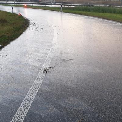 54ea96c2 Dae2 4bee Abf7 27bae564e4dc