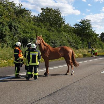 Db7d38a8 007f 4700 9af2 26fa21eebd46