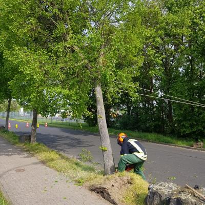 Photo 2019 04 29 10 53 25