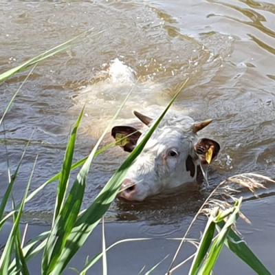 Photo 2019 06 10 21 04 42