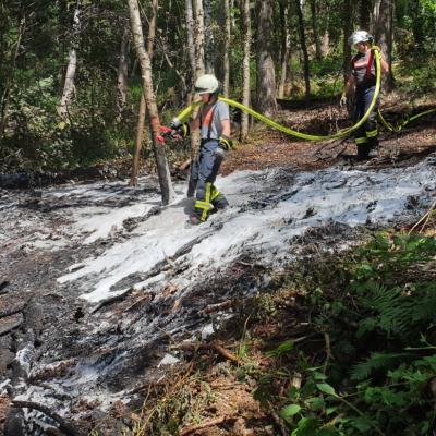 Photo 2019 06 30 14 07 38 1