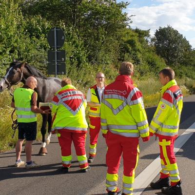 Photo 2019 07 02 19 04 11 1