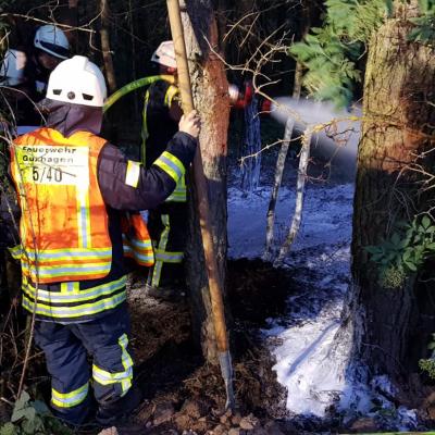 Photo 2019 07 06 22 26 44 1