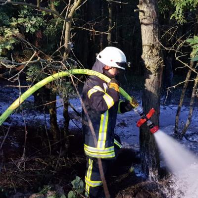 Photo 2019 07 06 22 42 59